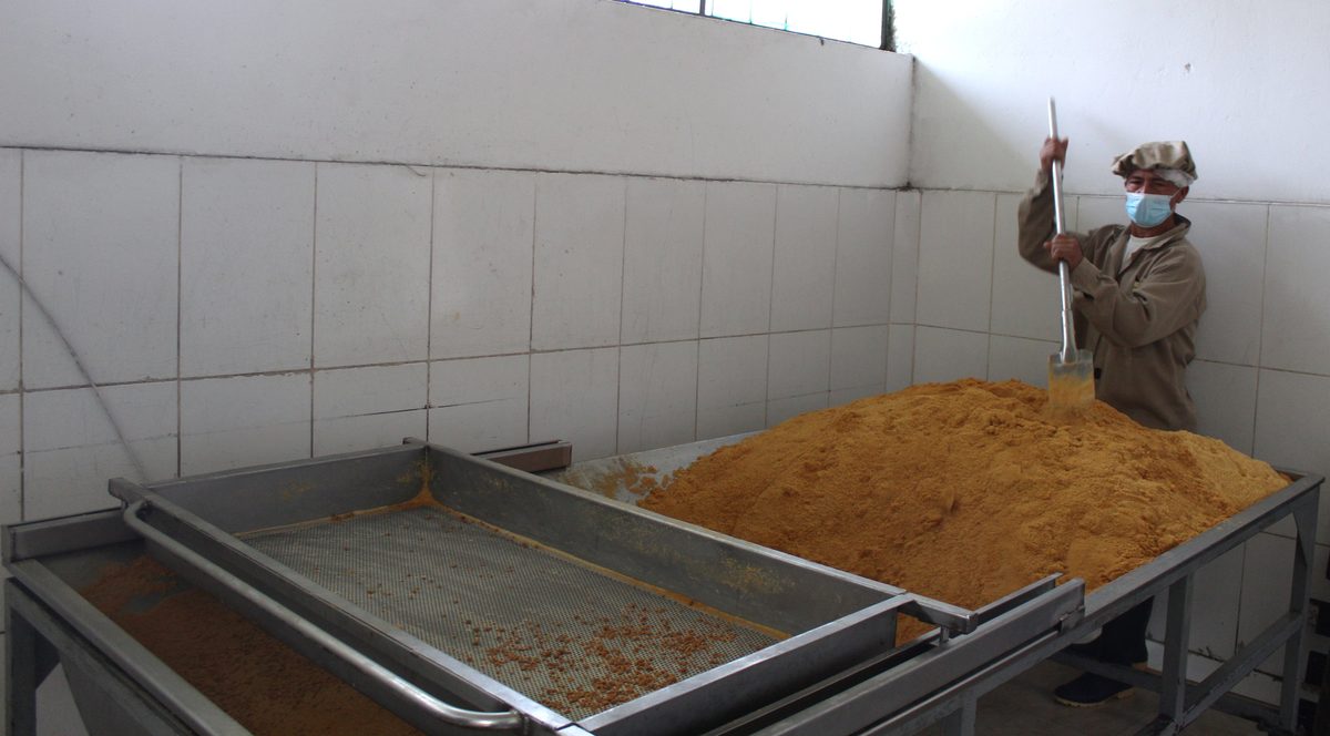Panela granulada en Ayabaca